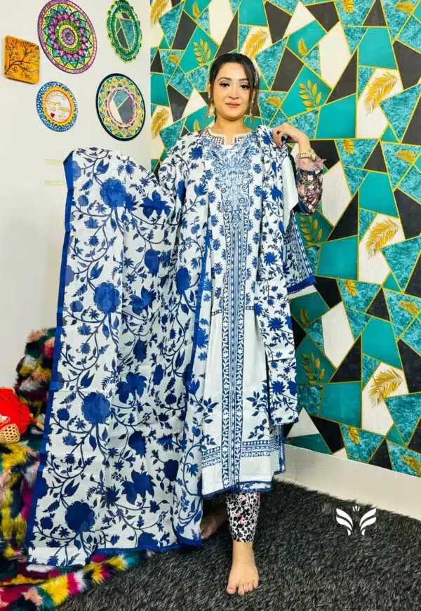 Blue & White color combination dress