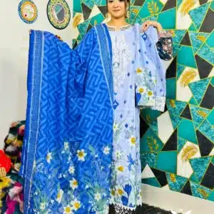 Powder Blue & blue color combination dress