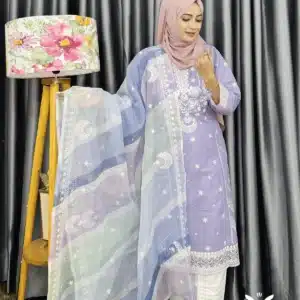 Pakistani Boutique Stitched 3 piece kamiz set
