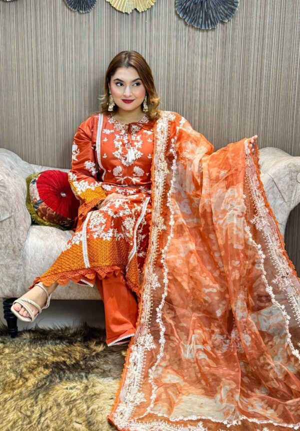 Pakistani Hussain Rehar inspired Stitched 3 piece kamiz Set - Image 3
