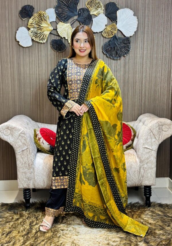 Pakistani inspired 3 piece set - Image 2