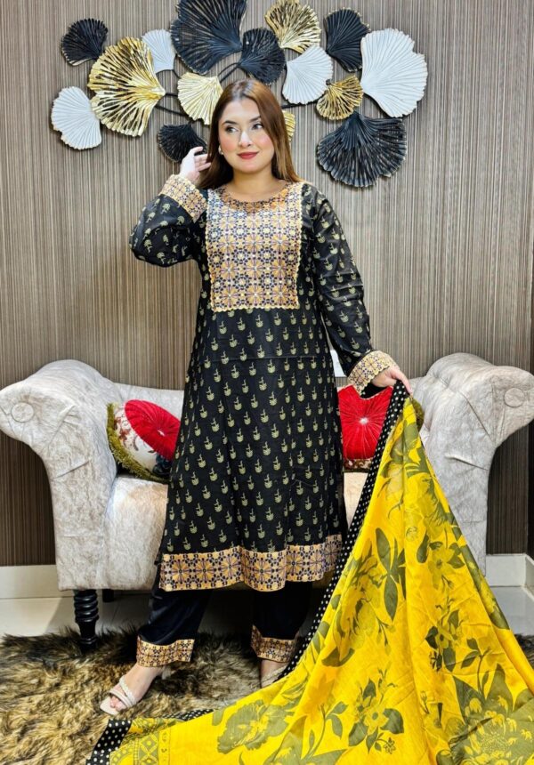 Pakistani inspired 3 piece set - Image 3